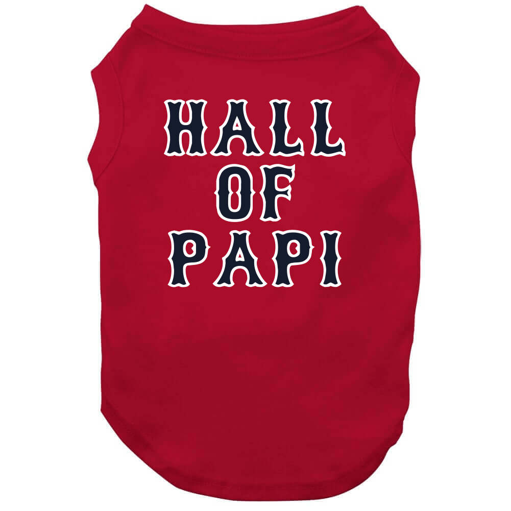 Official Dapit number 34 big papI T-shirt, hoodie, sweater, long sleeve and  tank top